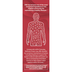 Everyday WELLNESS DROPS (Cinnamon Spice)